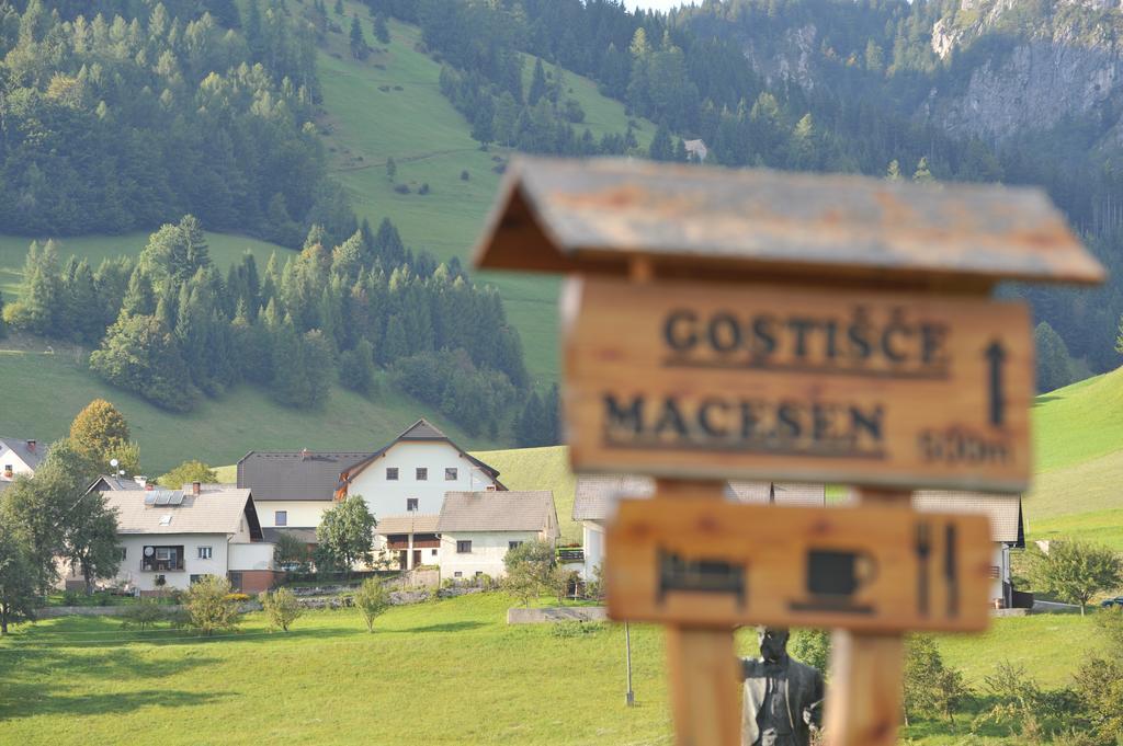 Guesthouse Macesen Spodnja Sorica Kültér fotó