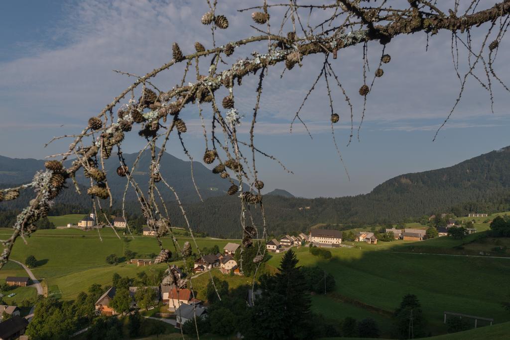 Guesthouse Macesen Spodnja Sorica Kültér fotó