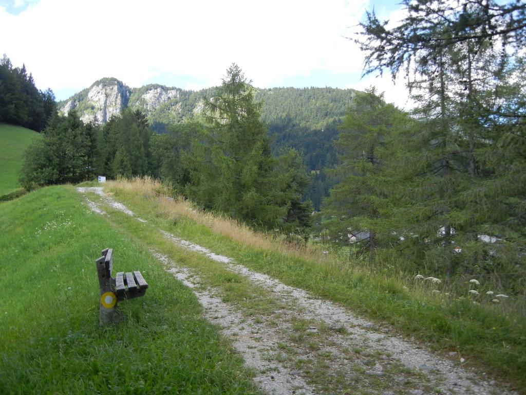 Guesthouse Macesen Spodnja Sorica Kültér fotó