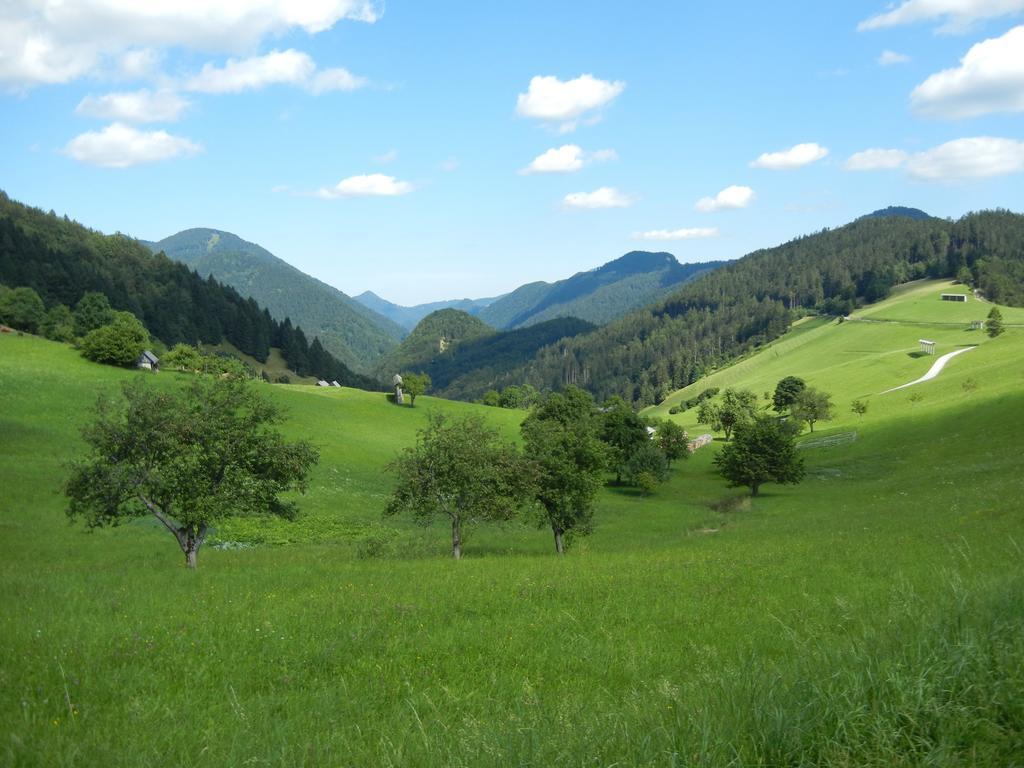 Guesthouse Macesen Spodnja Sorica Kültér fotó